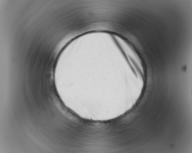 X0000113201226200910221032