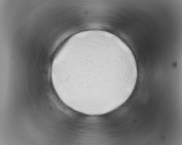 X0000113201227200910221032