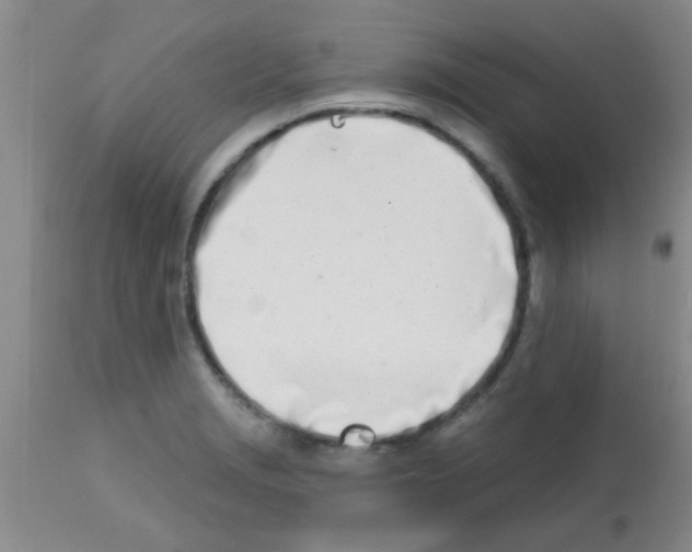 X0000113201229200910221032