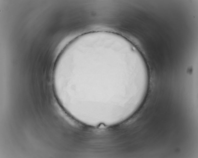 X0000113201231200910221032