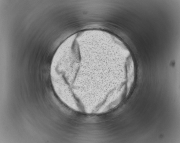 X0000113201233200910221033