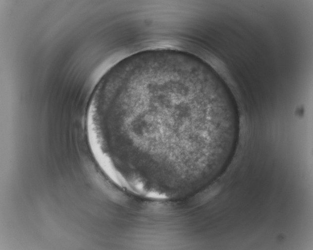 X0000113201234200910221033