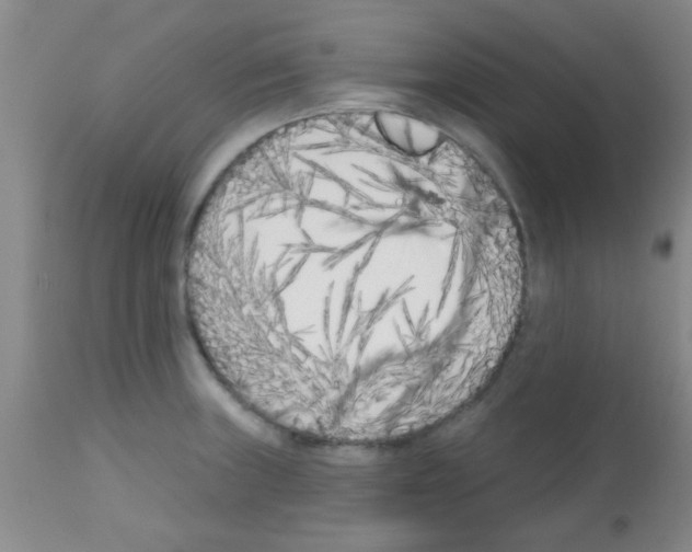 X0000113201235200910221033