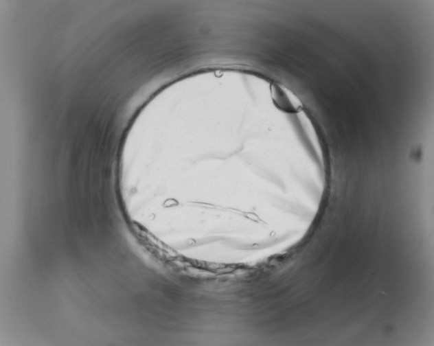 X0000113201237200910221033