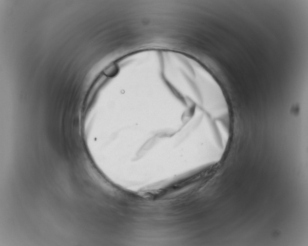 X0000113201238200910221033