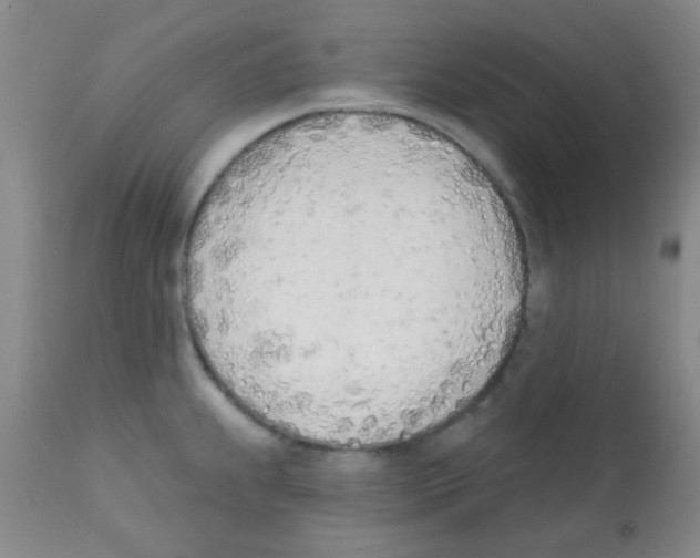 X0000113201239200910221033