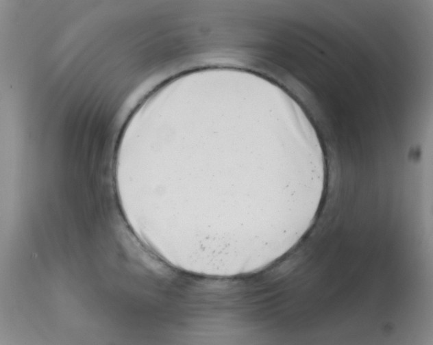 X0000113201240200910221033