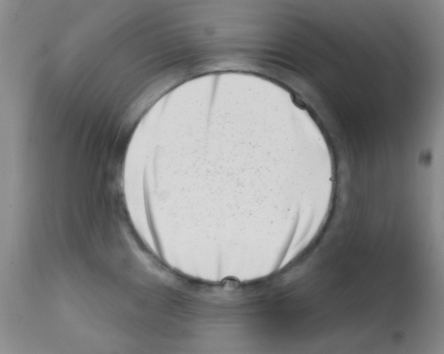 X0000113201241200910221033