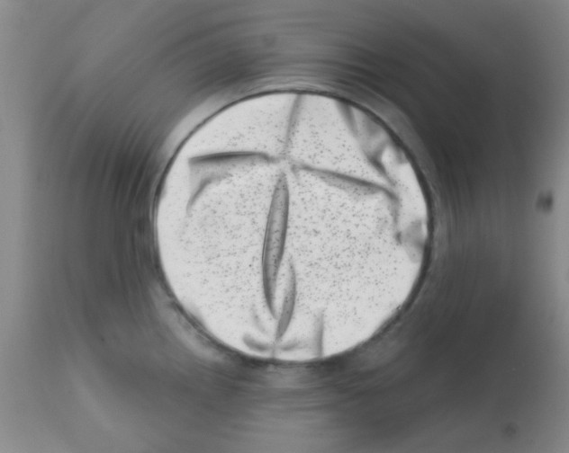 X0000113201242200910221033