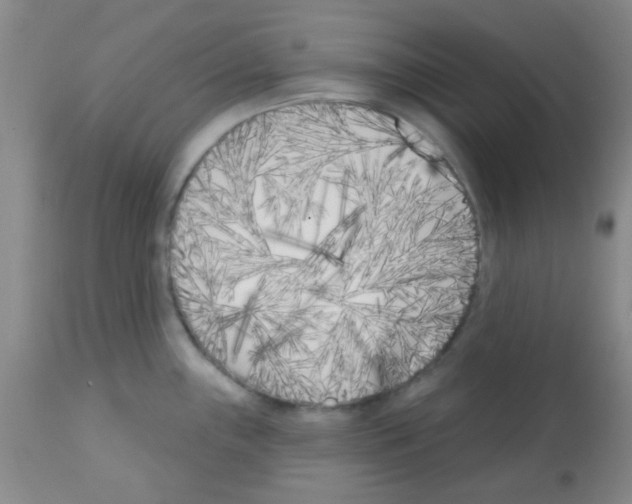 X0000113201243200910221033