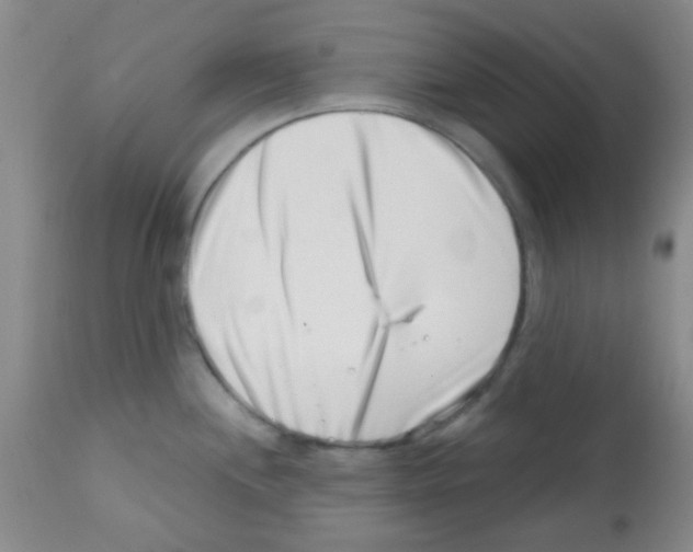 X0000113201244200910221033