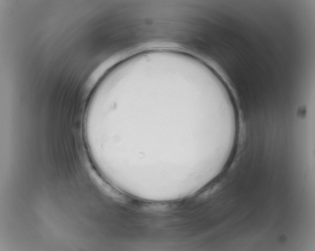 X0000113201245200910221033