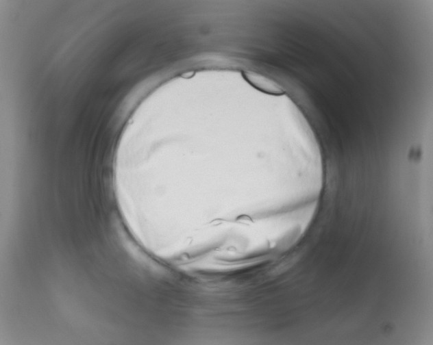X0000113201247200910221033