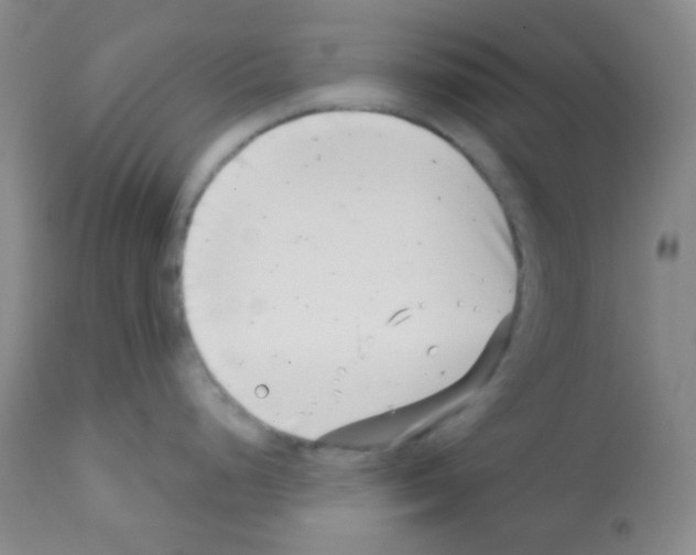 X0000113201248200910221033