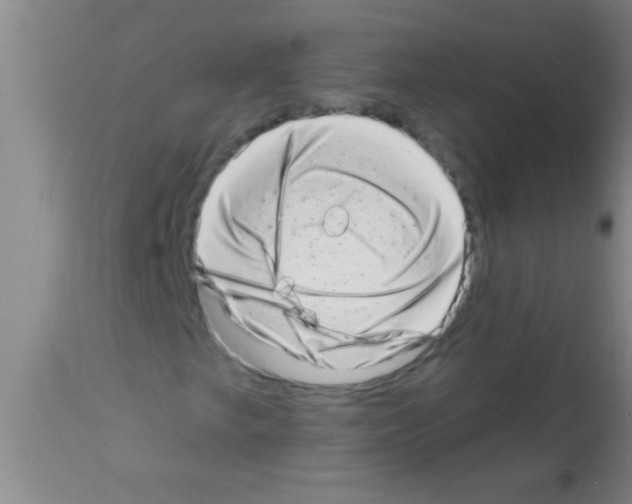 X0000113201249200910221032