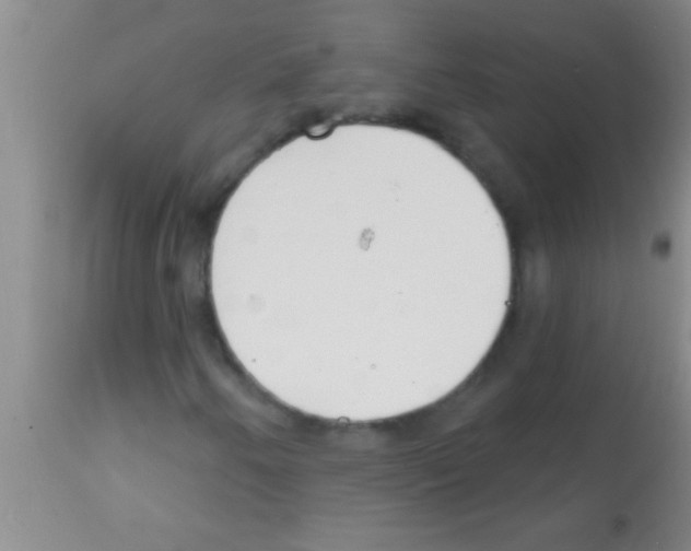 X0000113201250200910221032