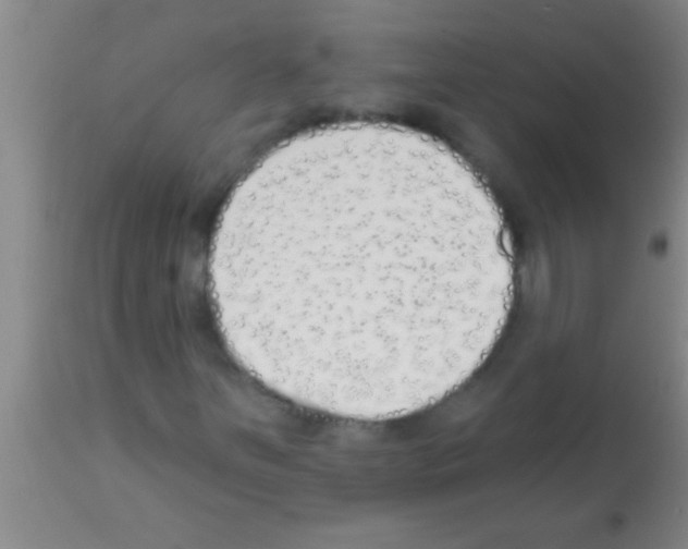 X0000113201251200910221032