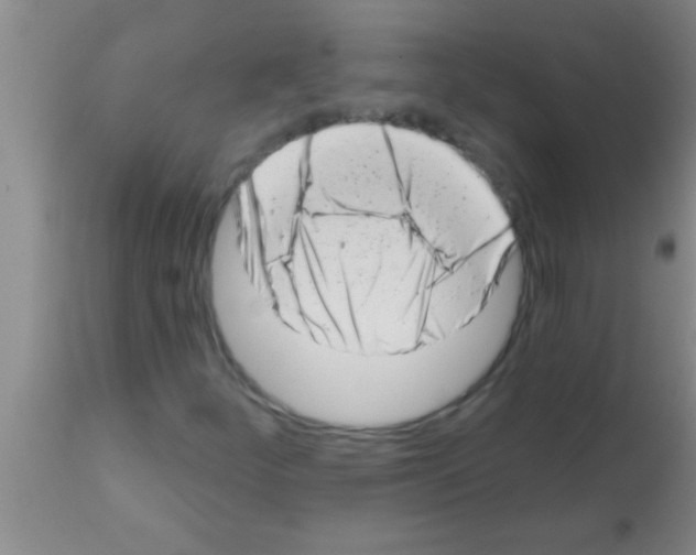 X0000113201252200910221032