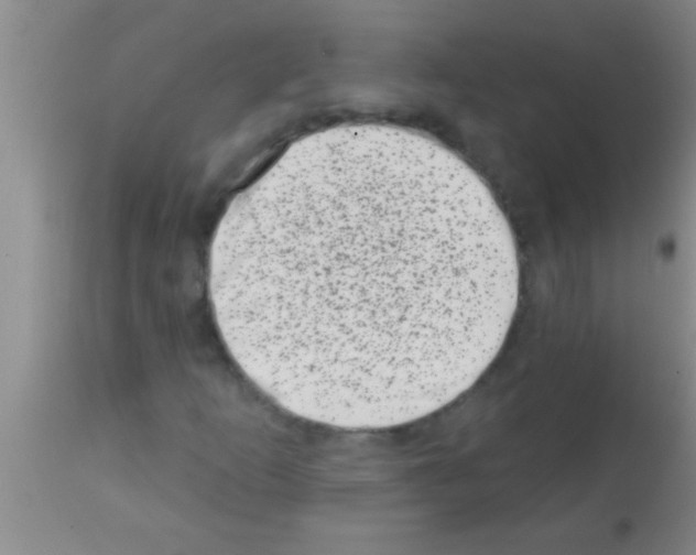 X0000113201253200910221032