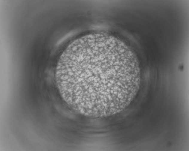 X0000113201254200910221032