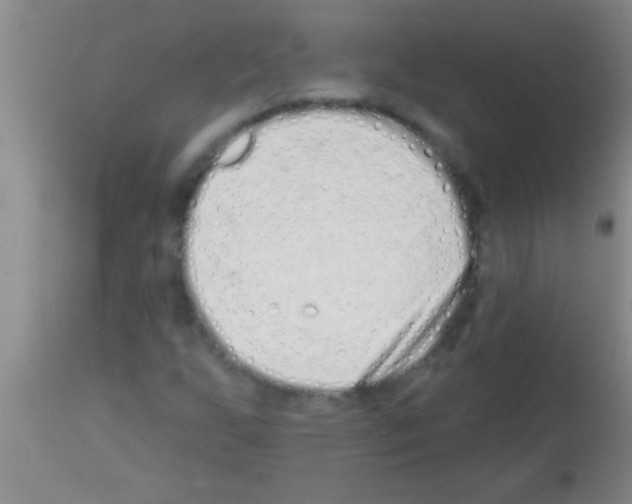 X0000113201255200910221032