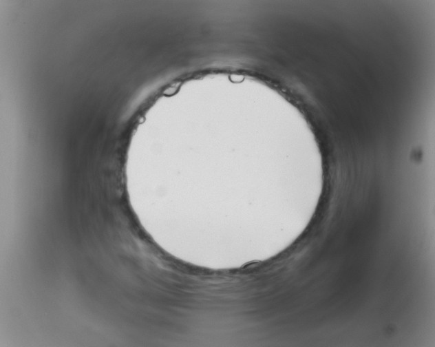 X0000113201256200910221032
