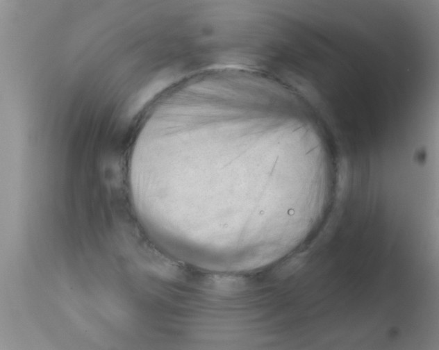 X0000113201258200910221032