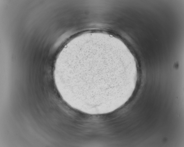 X0000113201259200910221032