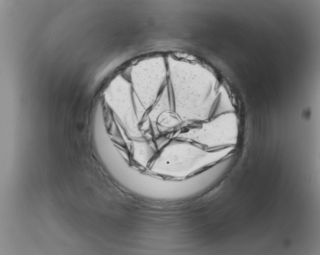 X0000113201261200910221032