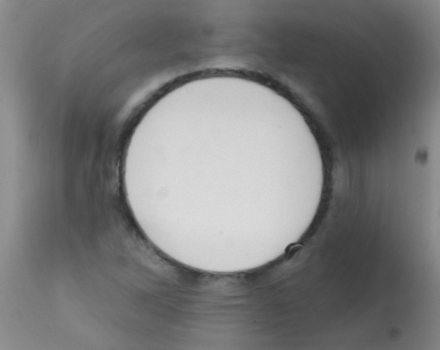 X0000113201262200910221032