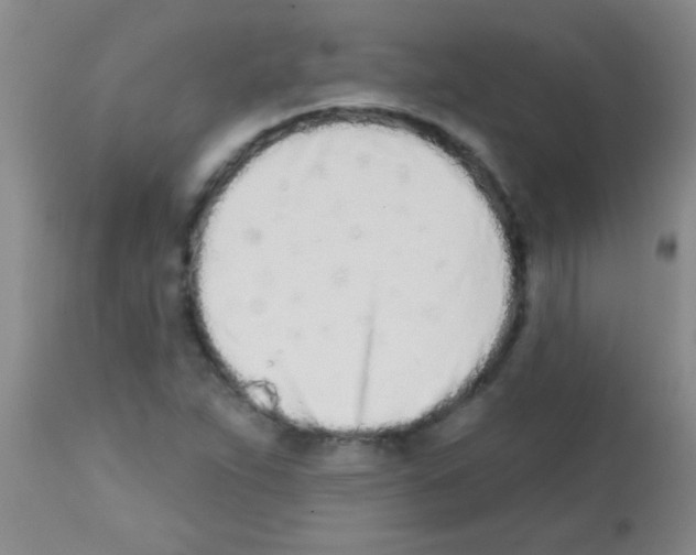 X0000113201263200910221032