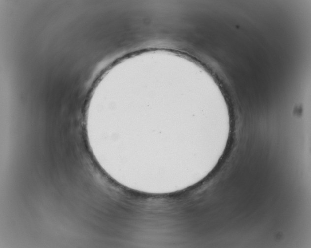 X0000113201264200910221032
