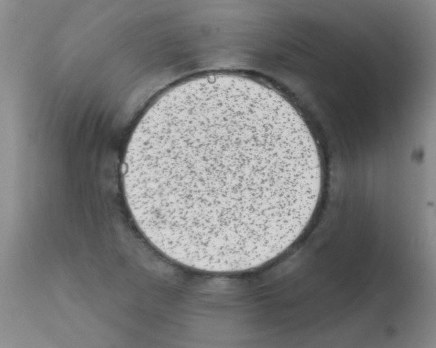 X0000113201265200910221032