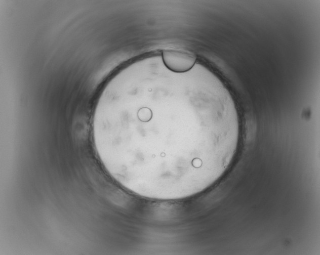 X0000113201266200910221032