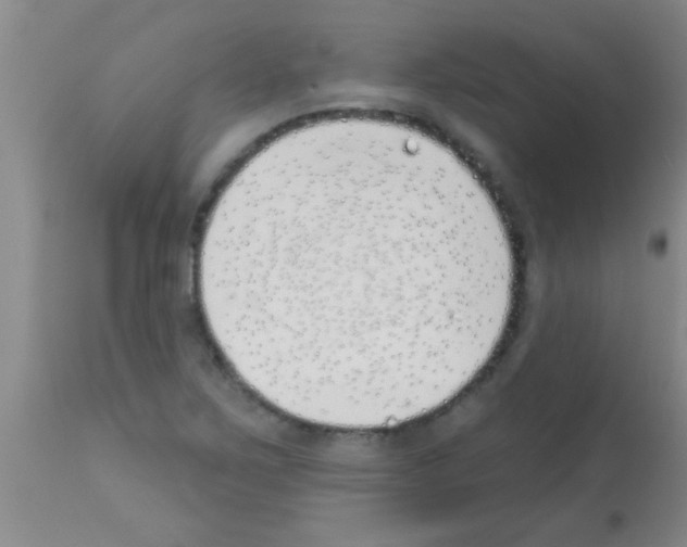 X0000113201267200910221032