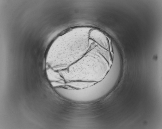 X0000113201269200910221032