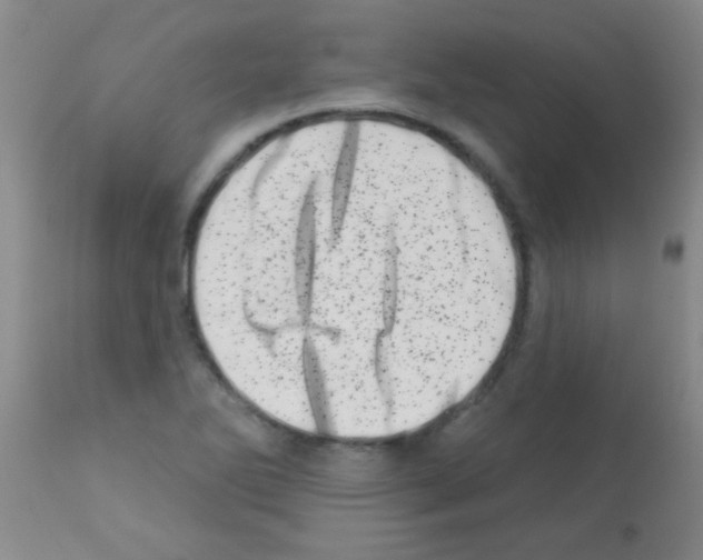 X0000113201270200910221032