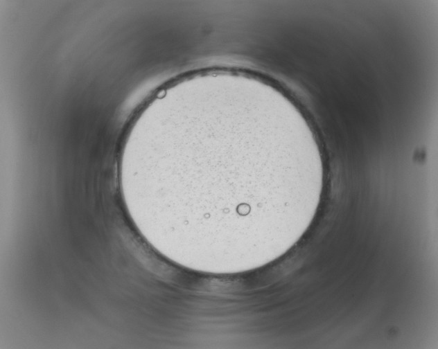 X0000113201271200910221032