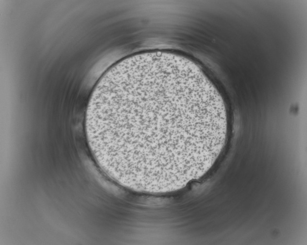 X0000113201273200910221032