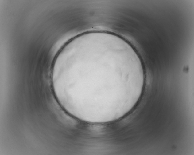 X0000113201278200910221032