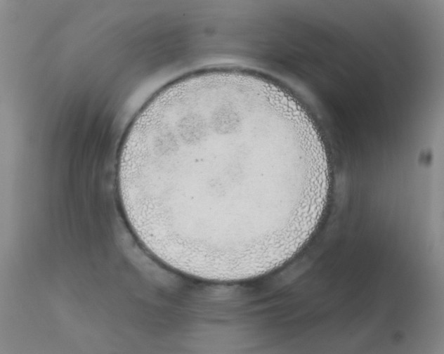 X0000113201279200910221032