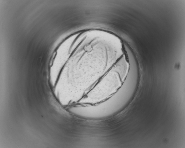 X0000113201280200910221032