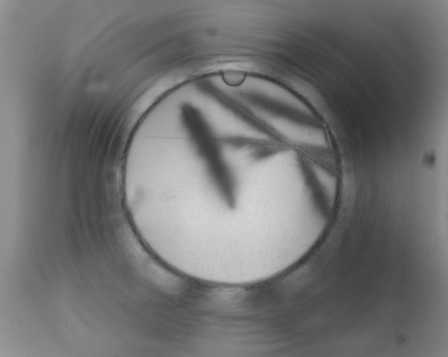 X0000113201282200910221032