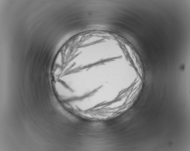X0000113201283200910221032