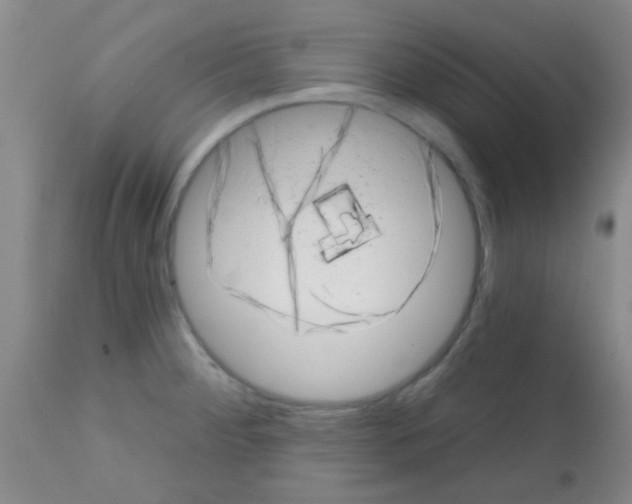 X0000113201284200910221032