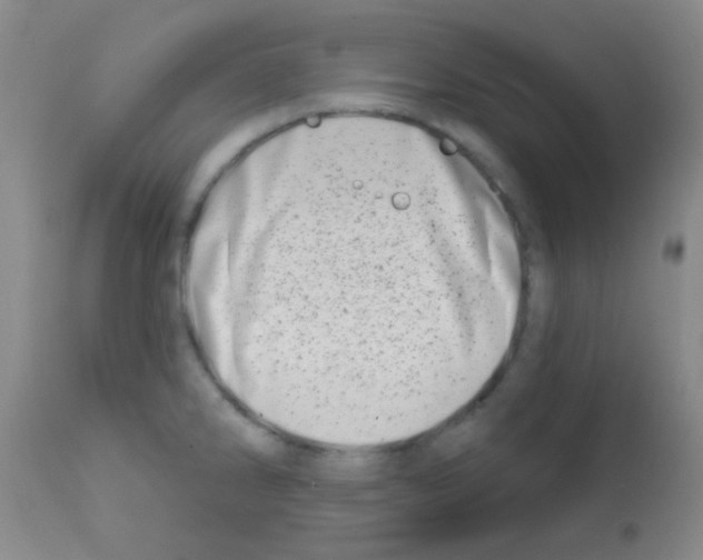 X0000113201286200910221032