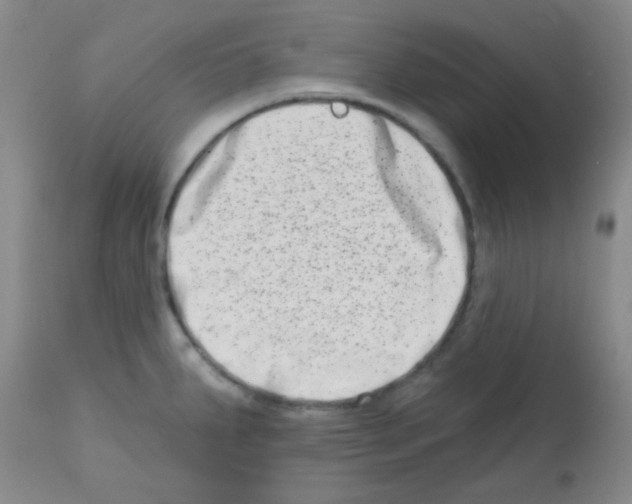 X0000113201287200910221032