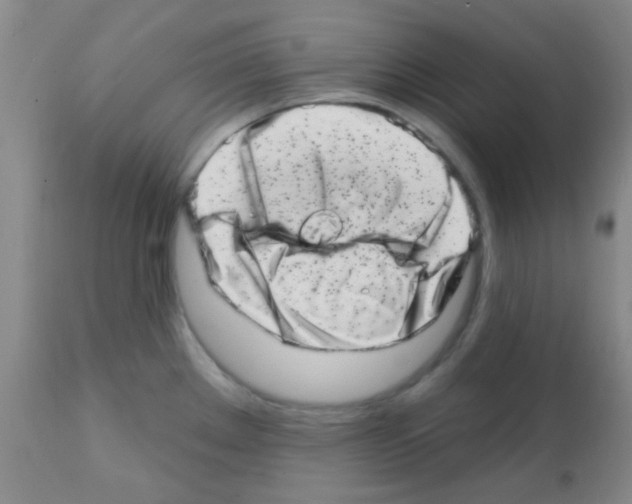 X0000113201289200910221032