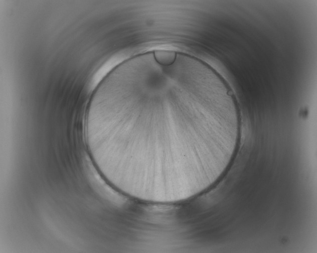 X0000113201290200910221031