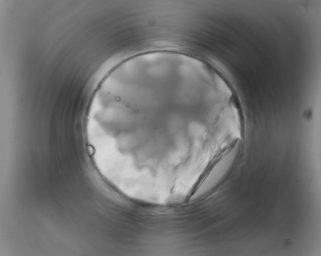 X0000113201291200910221031